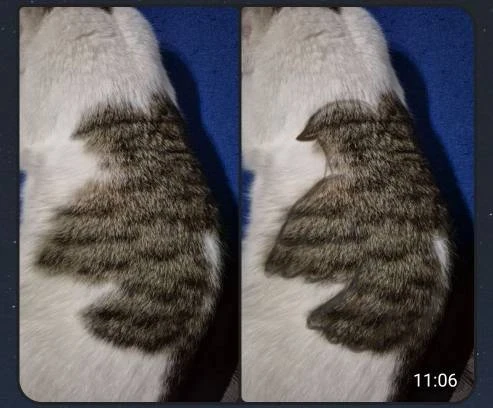 Джейн